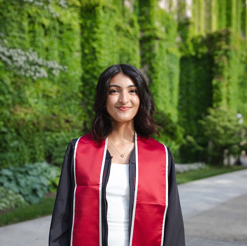 Government Representation Zara-Salman-img